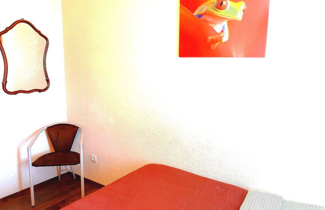 Orange Studio - Photo 59