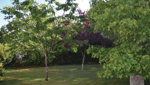 Nice Home In Pleuven With Wifi - Foto 5, Garden