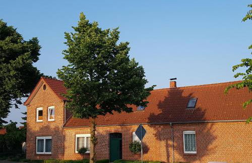 Seesternchen - Foto 10