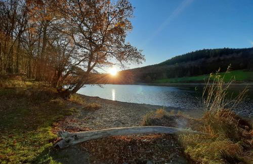 Wegfreiheit II - Foto 13