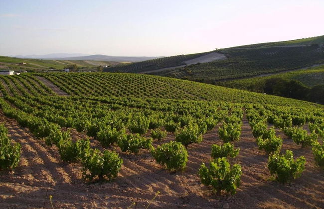 Apartment in Montilla Near Palacio Medinaceli - Foto 33