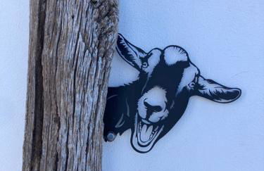 Villa Chona - Photo 12