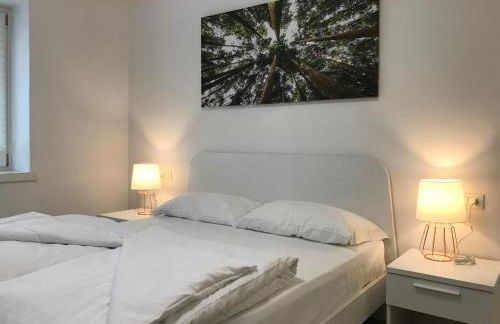 Trentino Apartments - Casa ai Tolleri - Foto 71