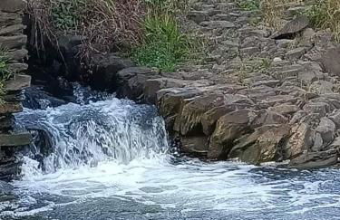 A casa da Carolina II - Foto 46