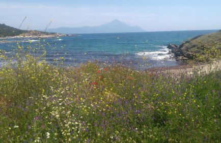 Haus Despina - Foto 7