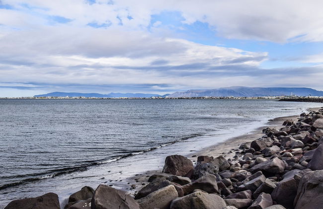 House Breiðabólsstaður - Foto 32