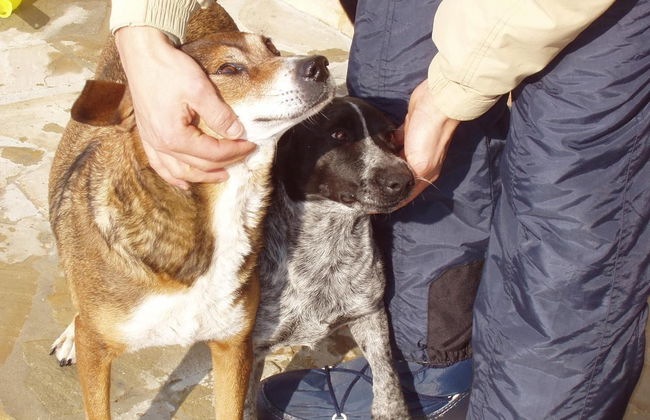 Agriturismo Le Bucoliche - Foto 32