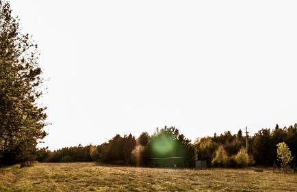 W Pelniku - Photo 27