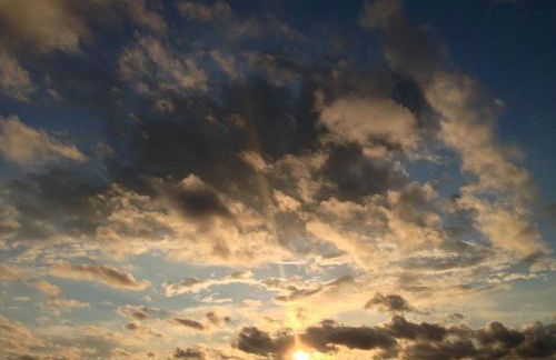 Peeneurlaub - Foto 52