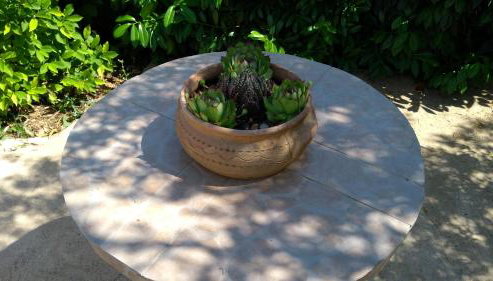 Apartman Ruža - Foto 2, Garden