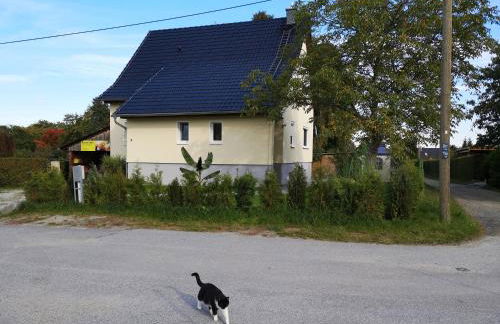 Ferienwohnung Schmidt - Foto 1