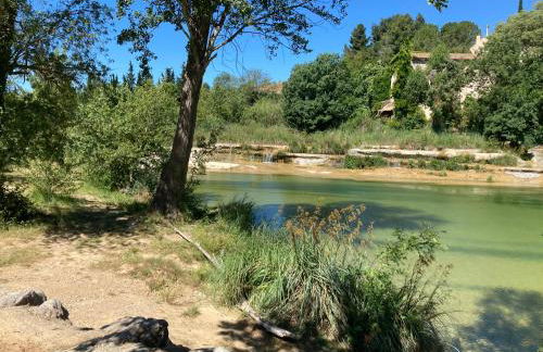 Saint laurent de la cabrerisse Rivière proche Lagrasse - Foto 6