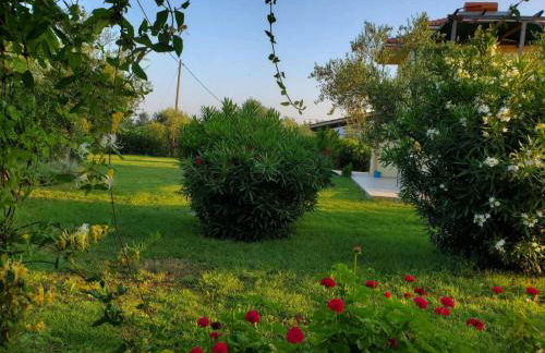 Phyllida Guest House - A1 - Foto 22