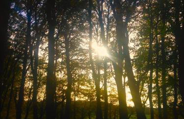 The Sheriffs Lodge - Photo 80