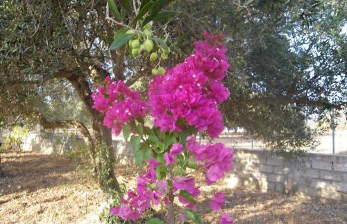 Margaret's House - Foto 19