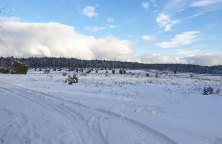 Ferienwohnung Ram 1 - Photo 56