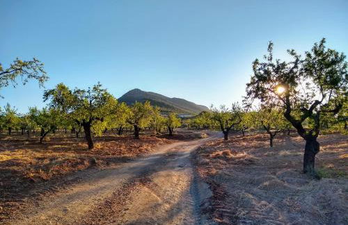 Cortijo La Estrella - Foto 14