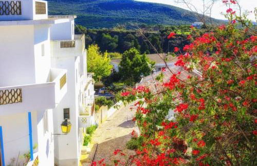 Casa Cecilia Apartment Algarve - Foto 14