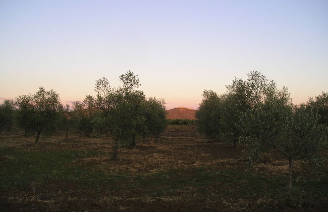 Agriturismo Benvenuti - Foto 41