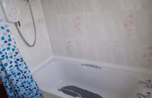 Bryncarnedd Farmhouse - Photo 23