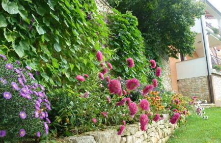 Apartment Milan Istra - Foto 20