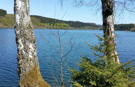 Ferienhaus " Silly " am schönen Listersee - Foto 23