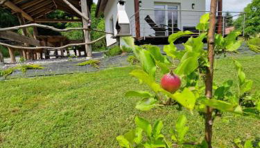 Tetmajera View & Garden - Foto 5, Garden, Garden view