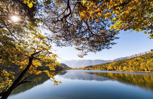 La Rosea - Fine Living Apartments - Foto 33