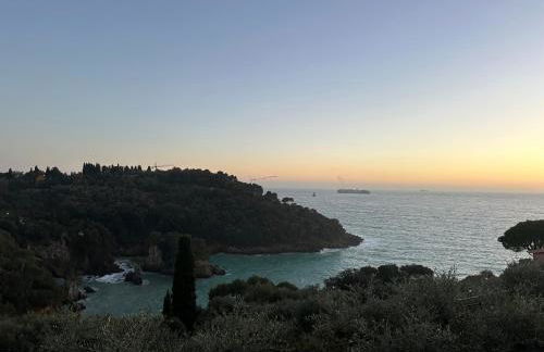 Ancient Tellaro - Free parking - Photo 35