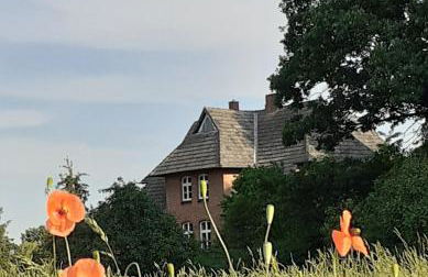 Ferienwohnung ehemalige Revierförsterei "uns Lütt" - Photo 17