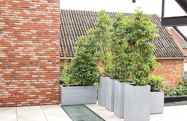 Brand new Apartment Sint-niklaas - Photo 13