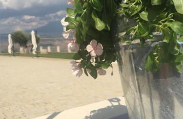 Borgo Ginuga - Foto 37