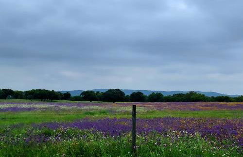 Casa Jasmim - charming houses - Alojamento Local - perto Zambujeira do Mar - Foto 62
