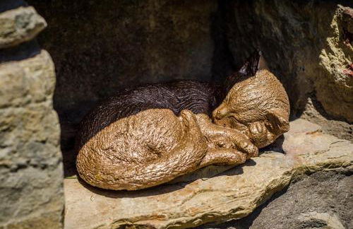 Borda Fuertes - Photo 38