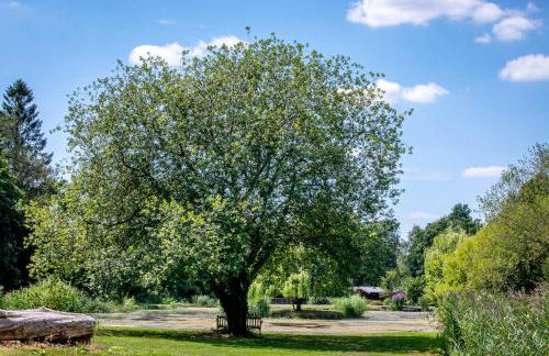 Willowbank Lodges - Foto 47