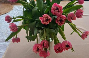 Apartamenty LeVilla - Foto 62