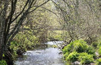 Cosy Couples Getaway - The Nook, set in 6 acres of private grounds - Foto 4