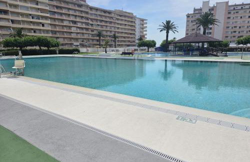 Penismar Paradis - Foto 35