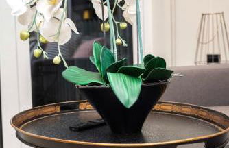 Stunning 2BR Apt Bromley Views Terrace - Foto 18