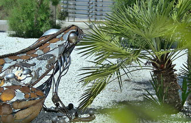 BIBO PARK - Ibiza Botánico Biotecnológico - Foto 1