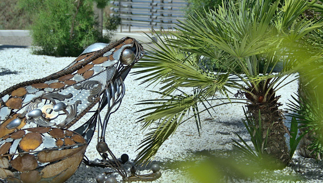 Visita guidata al BIBO PARK Ibiza Botánico Biotecnologico