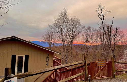 Paws at the Peak - Foto 1