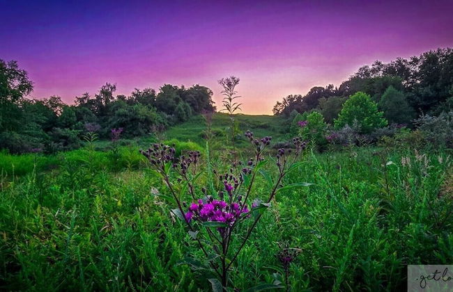 Cozy Cabin - Foto 42