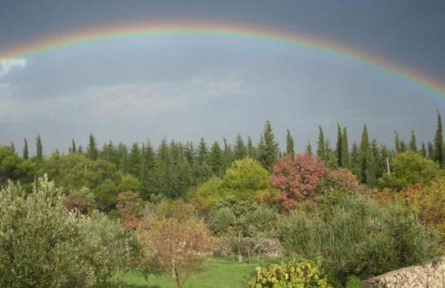 Apartments Dalmatia - Foto 6