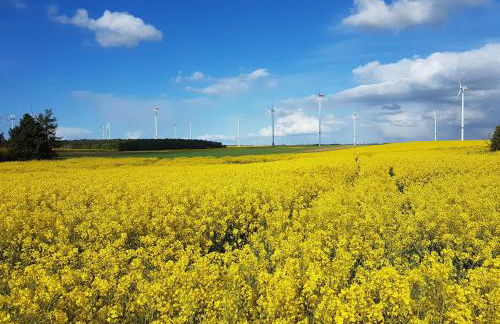 Ferienhaus Uckermark - Photo 18