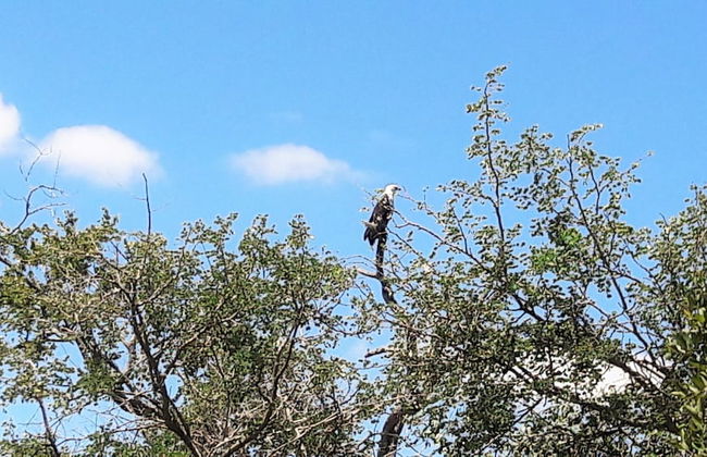 Umvangazi Rest - Enjoy a Relaxing, Rejuvenating and Peaceful Setting in the Bush - Foto 24