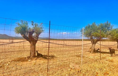 Villetta Sisini - Key to Villas - Foto 27