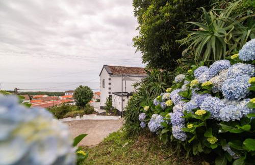 Atlantic Seaview Window - Photo 73