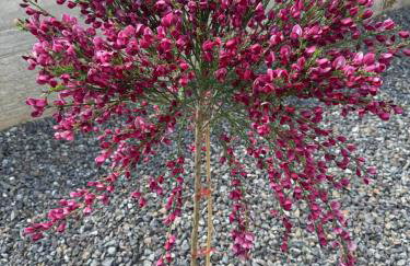 Villa Granea with indoor heated pool and sauna - Foto 2