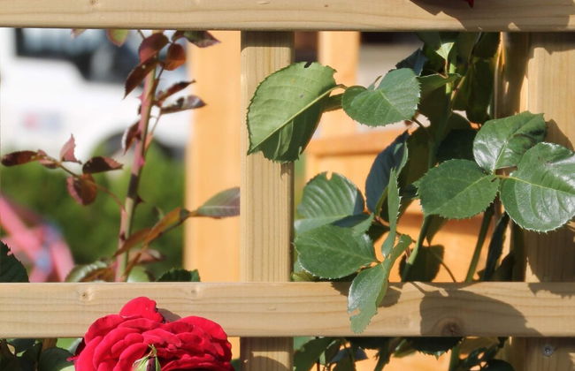 Apartment in Otztal With Balcony - Foto 23